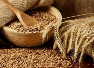 Украина приостановила экспорт продуктов: что это значит