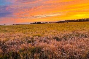 Одесситы наблюдали удивительно красочный летний закат (фото)