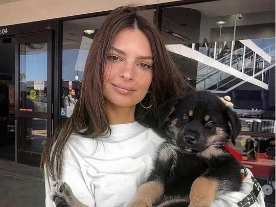 Фото голої Емілі Ратаковськи захопило любителів&hellip; собак
