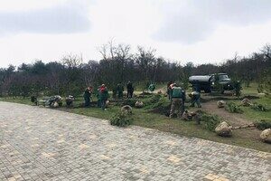 В Парке победы высадили аллею сосен, которую подарили одесситы
