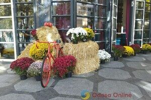 Витрины одесских магазинов и кафе украсили город к Хэллоуину (фото)