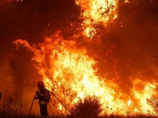 Україна запропонувала Португалії допомогу: про що&nbsp;йдеться