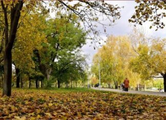 Вечер кинохитов и стендап Богдана Боярина: куда пойти в Одессе в пятницу и эти выходные