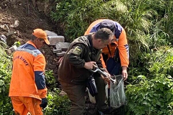В Одессе обнаружили сбросы канализации в Черноморскую балку