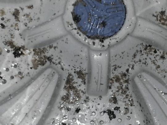 Цвіль у&nbsp;пральній машині: є&nbsp;легкі способи її&nbsp;позбутися