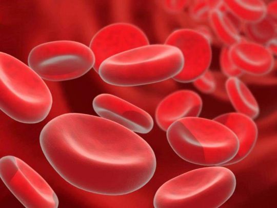 Низький гемоглобін: які продукти можуть підвищити його