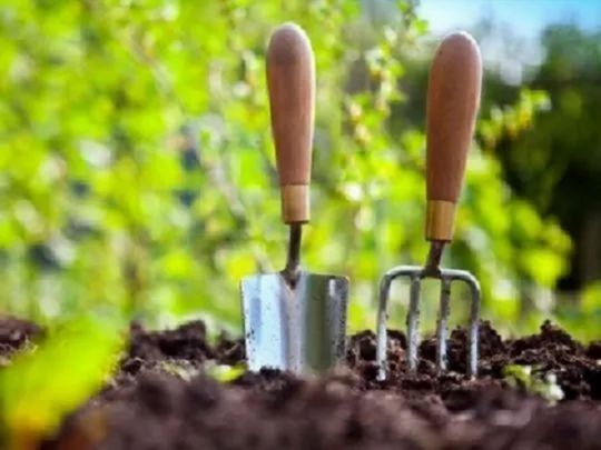 Не&nbsp;час сидіти склавши руки: календар городника на&nbsp;грудень-2025