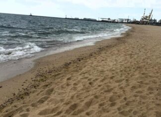 В Одесском районе обнаружили загрязнение моря: что говорят экологи