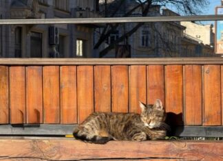 Первые дни апреля: какая погода будет в Одессе в эти выходные